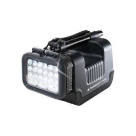 9430SL,RALS SPOT LIGHT,BLACK