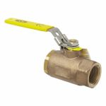 Dixon BBLV125 Ball Valve, 1-1/4 in Nominal, Brass Body