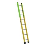 TPIAA MANHOLE LADDER-8'