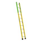 TPIAA MANHOLE LADDER-10'
