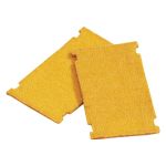 PAD 54-B 009 LGE GPH INSR