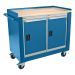 ETABLI DE SERVICE MOBILE 2 PORTES 42 X 24 X 37 H