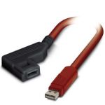 Câble de programmation RAD-CABLE-USB